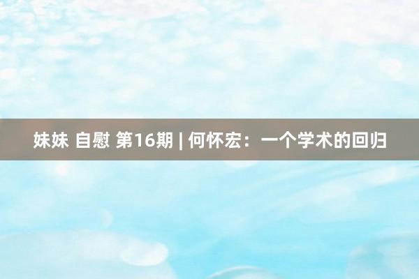 妹妹 自慰 第16期 | 何怀宏：一个学术的回归