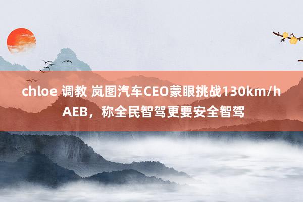 chloe 调教 岚图汽车CEO蒙眼挑战130km/h AEB，称全民智驾更要安全智驾