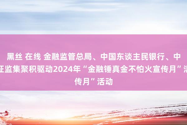 黑丝 在线 金融监管总局、中国东谈主民银行、中国证监集聚积驱动2024年“金融锤真金不怕火宣传月”活动