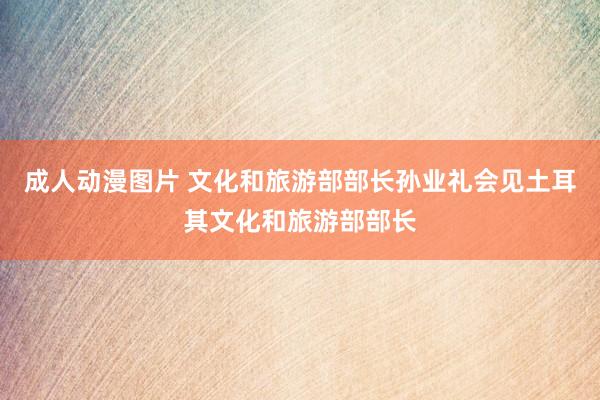 成人动漫图片 文化和旅游部部长孙业礼会见土耳其文化和旅游部部长
