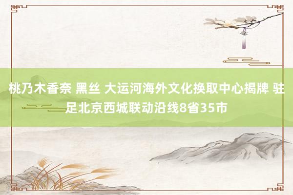 桃乃木香奈 黑丝 大运河海外文化换取中心揭牌 驻足北京西城联动沿线8省35市