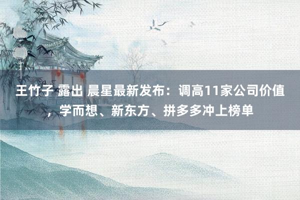 王竹子 露出 晨星最新发布：调高11家公司价值，学而想、新东方、拼多多冲上榜单
