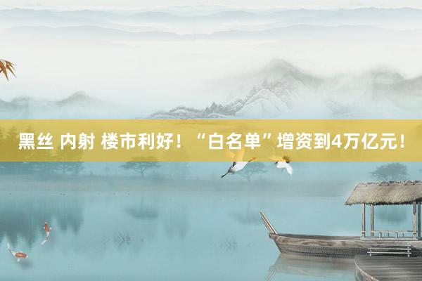 黑丝 内射 楼市利好！“白名单”增资到4万亿元！