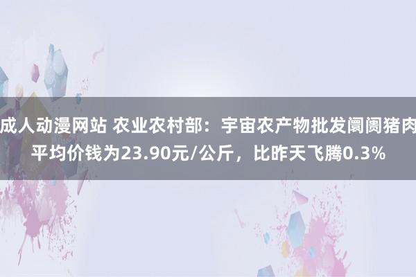成人动漫网站 农业农村部：宇宙农产物批发阛阓猪肉平均价钱为23.90元/公斤，比昨天飞腾0.3%