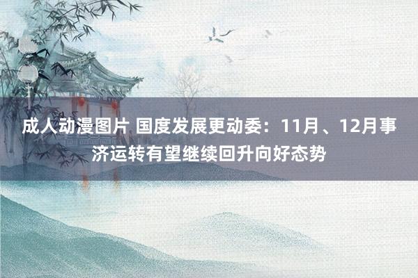 成人动漫图片 国度发展更动委：11月、12月事济运转有望继续回升向好态势