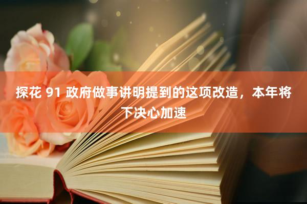 探花 91 政府做事讲明提到的这项改造，本年将下决心加速