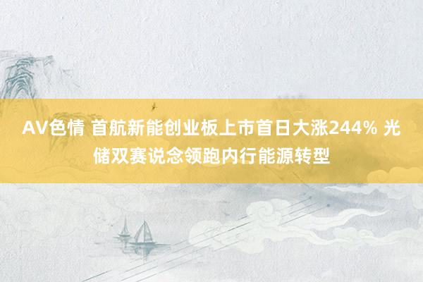 AV色情 首航新能创业板上市首日大涨244% 光储双赛说念领跑内行能源转型
